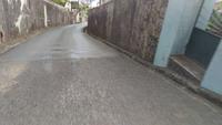 Korbschlittenfahrt im Wallfahrtsort Monte
