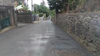 Korbschlittenfahrt im Wallfahrtsort Monte