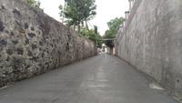Korbschlittenfahrt im Wallfahrtsort Monte