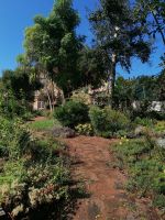 Kräutergarten Quinta Esmeralda 