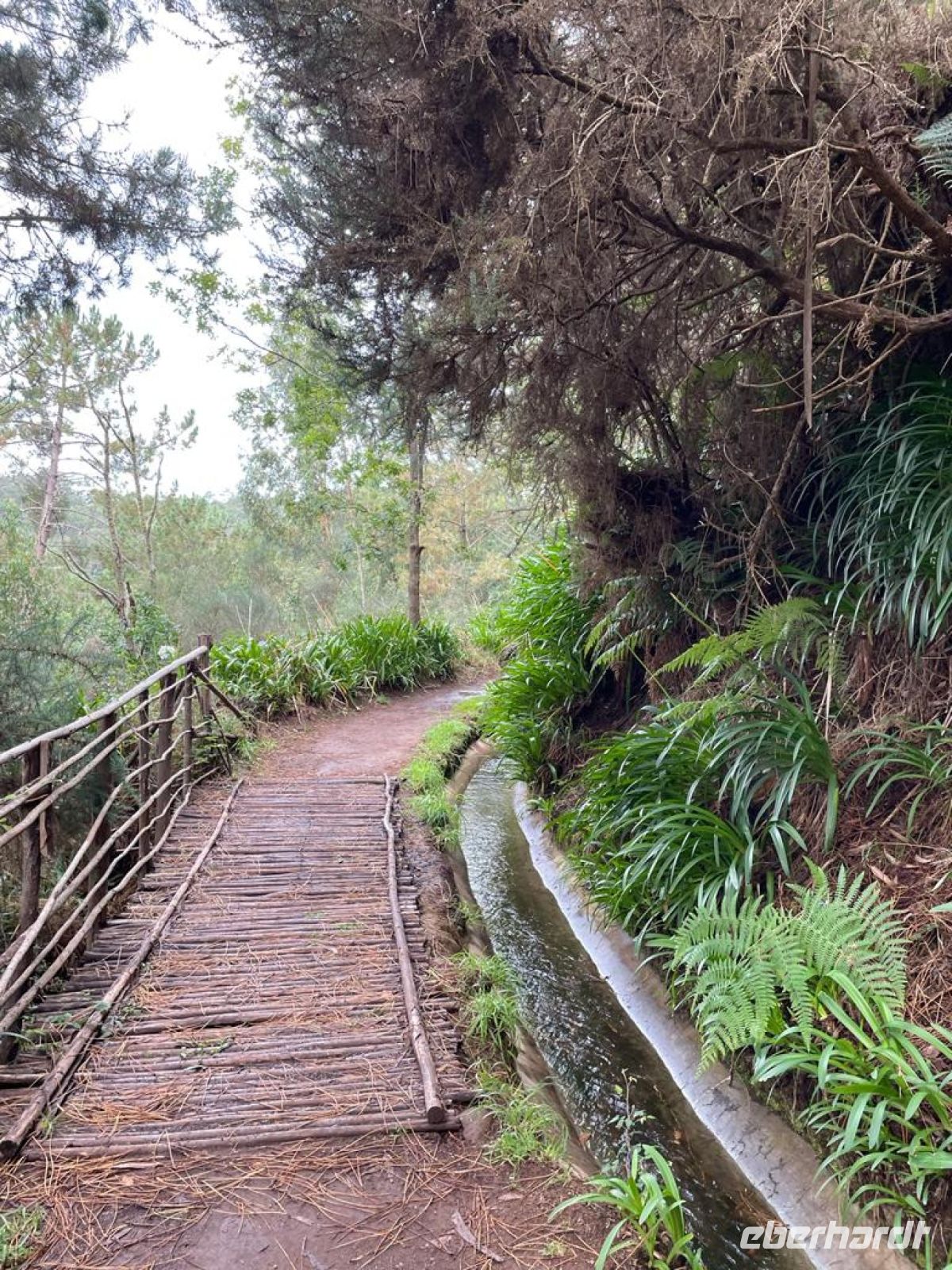 Levada do serra do Faial