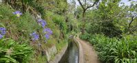 Levada dos Tornos