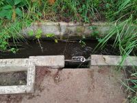 Levada von Maracos