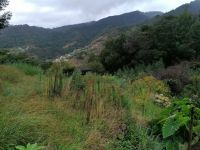 Levada von Maracos