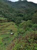 Levada von Maracos
