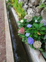 Levada von Maracos