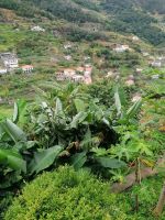 Levada von Maracos