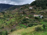 Levada von Maracos