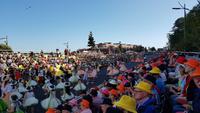 Madeira, Funchal, Blumenfest