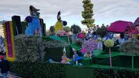 Madeira, Funchal, Blumenfest