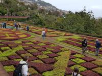 Madeira, Funchal, Botanischer Garten