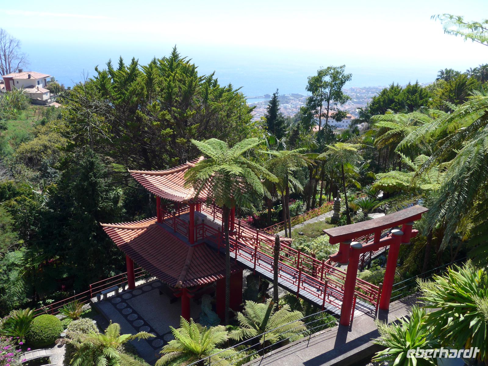Madeira, Funchal, Tropischer Garten