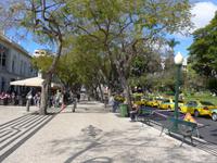 Madeira, Funchal