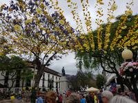 Madeira, Funchal