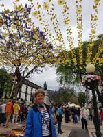 Madeira, Funchal