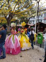 Madeira, Funchal