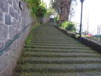 Madeira, Monte