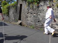 Madeira, Monte