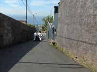 Madeira, Monte