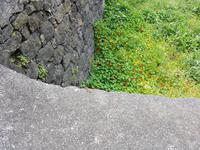 Madeira, Sao Vicente
