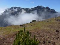Madeira, Wanderung zum Pico Ruivo