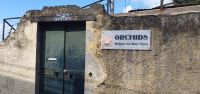 Orchideen Garden