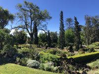Palheiro Garden
