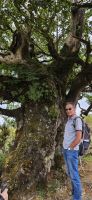 RL Berthold im Lorbeerwald von Fanal