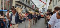 Umzug zum Weinfest