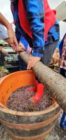 Umzug zum Weinfest