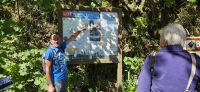Wanderung Levada Balcoes