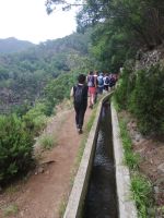 Wanderung auf Levada dos Marocos