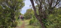 Wanderung in Fanal