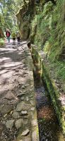 Weg zum Aussichtspunkt Balcoes entlang der Levada Furado