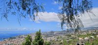 unterm Pfefferbaum mit Blick auf Funchal