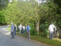 017 Semenggoh, Kuching, Borneo, Malaysia