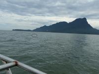 047 Indopazifischer Buckeldelfin , Santubong, Kuching Wetlands Nationalpark, Borneo, Malaysia 