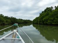 057 Bootsfahrt, Santubong, Kuching Wetlands Nationalpark, Borneo, Malaysia