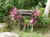 075 Iban Langhaus, Sarawak Cultural Village, Damaii, Borneo, Malaysia