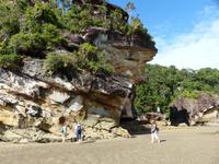 095 Bako Nationalpark, Sarawak,Borneo, Malaysia
