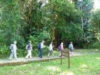 105 Bako Nationalpark, Borneo, Malaysia