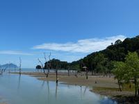106 Bako Nationalpark, Borneo, Malaysia