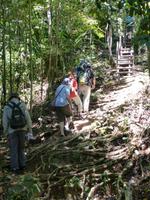 115 Delima Trail, Bako Nationalpark, Borneo, Malaysia