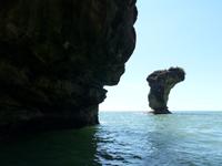 126 Seenadel, Bako Nationalpark, Borneo, Malaysia