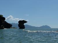 127 Seenadel, Bako Nationalpark, Borneo, Malaysia