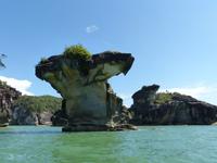129 Seenadel, Bako Nationalpark, Borneo, Malaysia