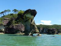 130 Seenadel, Bako Nationalpark, Borneo, Malaysia