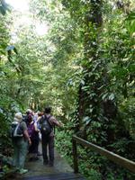 160 Gunung Mulu Nationalpark, Borneo, Malaysia