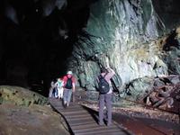 172 Deer Cave, Gunung Mulu Nationalpark, Borneo, Malaysia