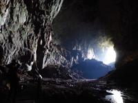 175 Deer Cave, Gunung Mulu Nationalpark, Borneo, Malaysia